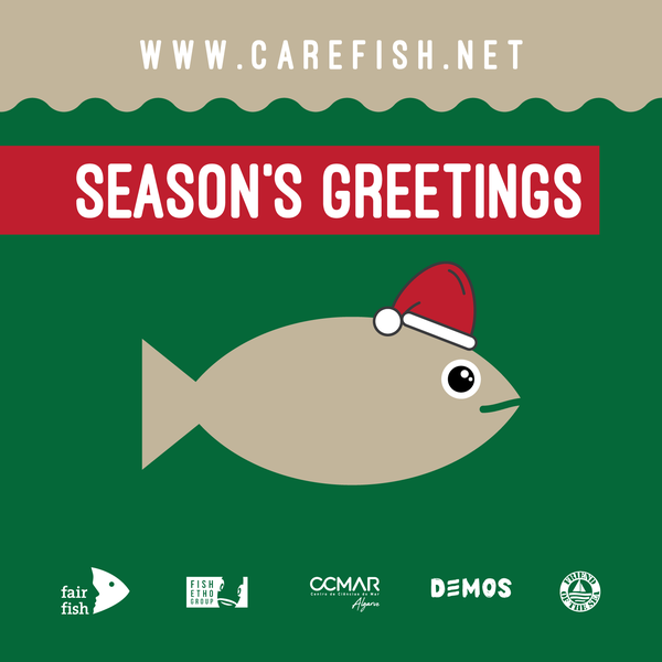 Carefish/catch News image