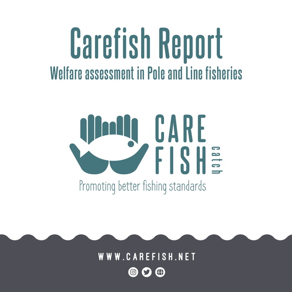 Carefish/catch News image